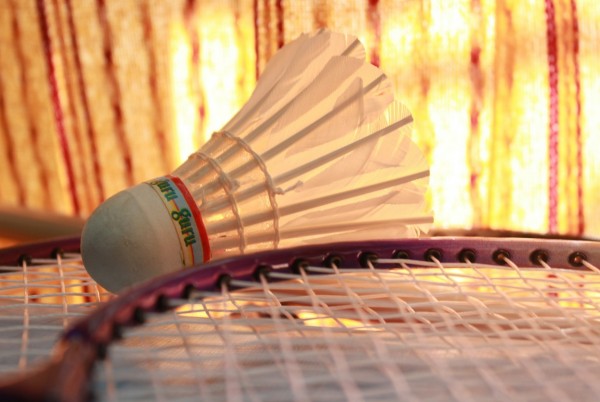 <a href=https://www.salesko.cz/svatomartinsky-badmintonovy-turnaj/ title='Svatomartinský badmintonový turnaj'>Svatomartinský badmintonový turnaj</a>