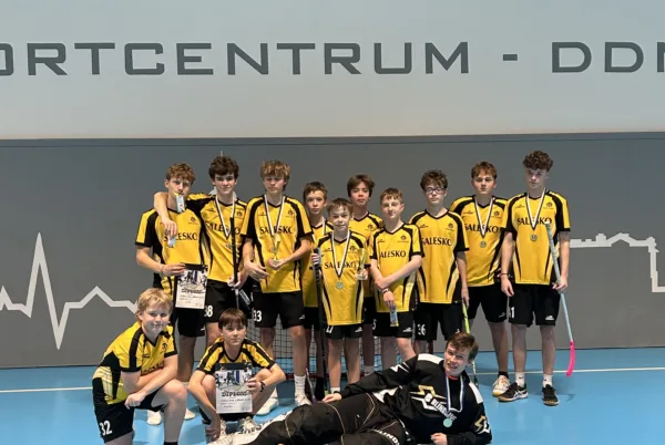 <a href=https://www.salesko.cz/vitezstvi-ve-florbale/ title='Vítězství ve florbale'>Vítězství ve florbale</a>