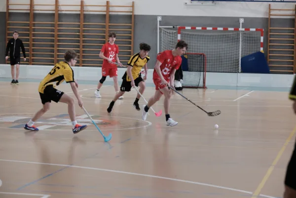 <a href=https://www.salesko.cz/uspech-nasich-florbalistu/ title='Úspěch našich florbalistů'>Úspěch našich florbalistů</a>